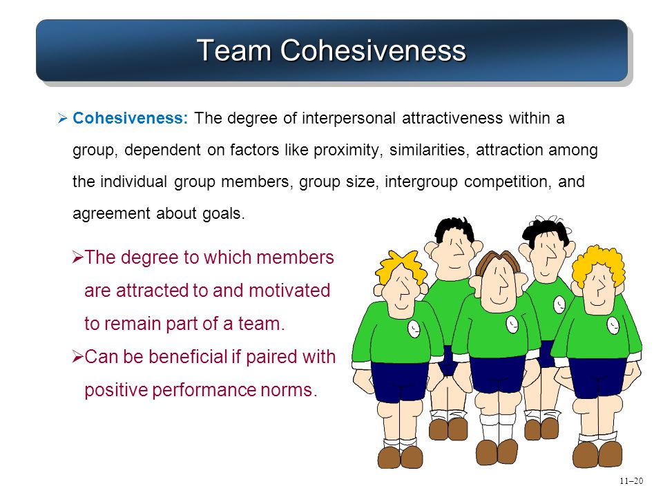 Team Cohesiveness