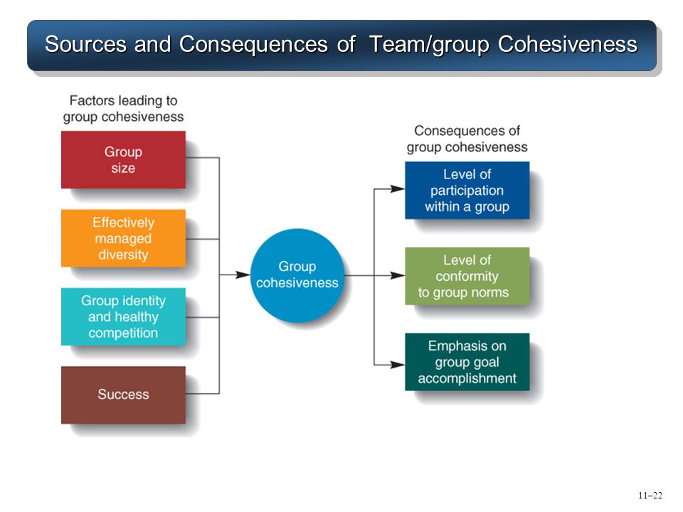 Sources and Consequences of Team/group Cohesiveness