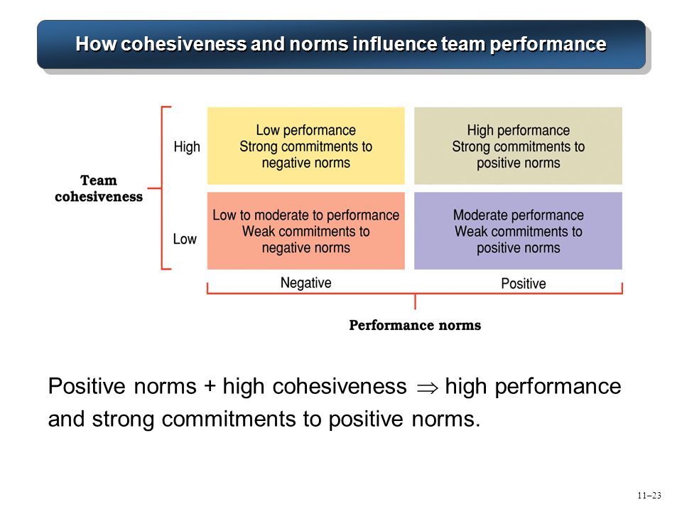 How cohesiveness and norms influence team performance