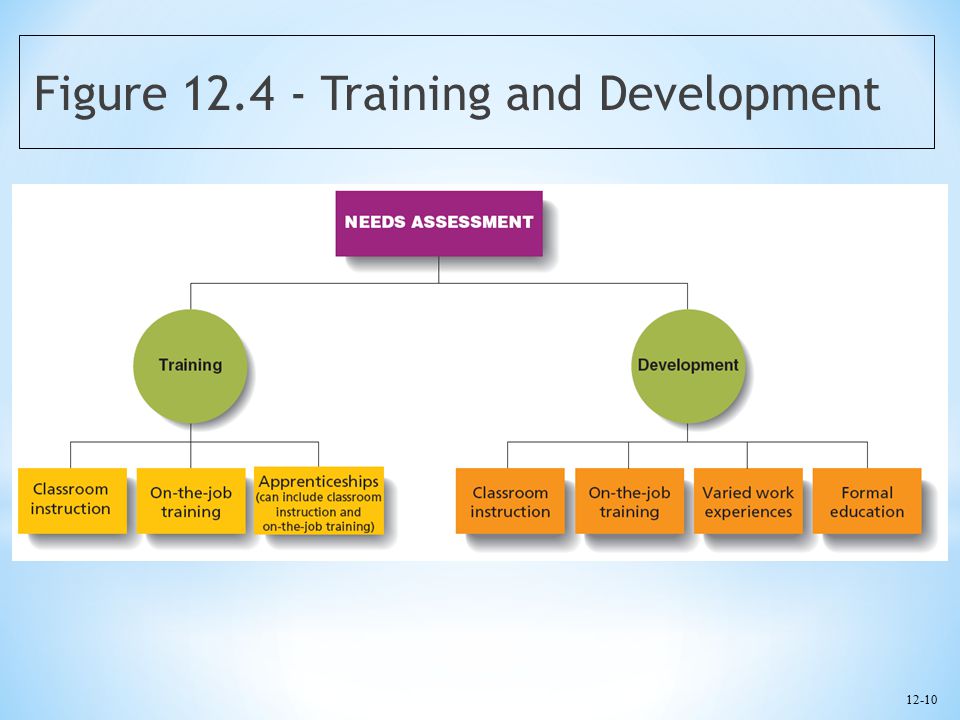 Figure Training and Development