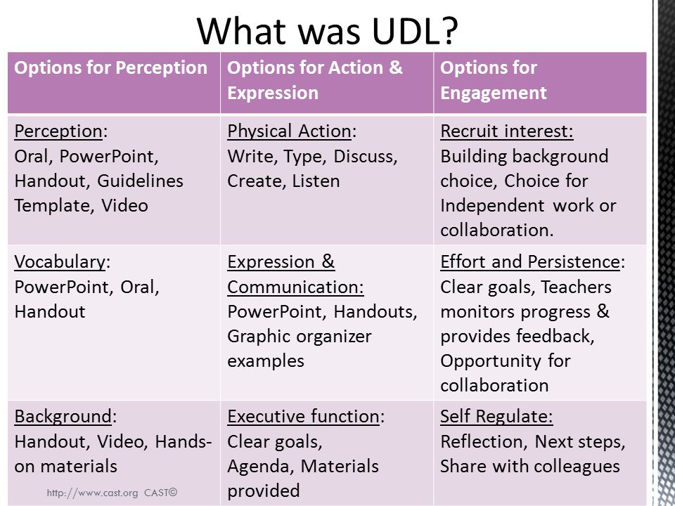 What was UDL Options for Perception Options for Action & Expression