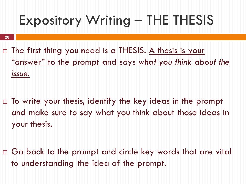 Expository Writing – THE THESIS