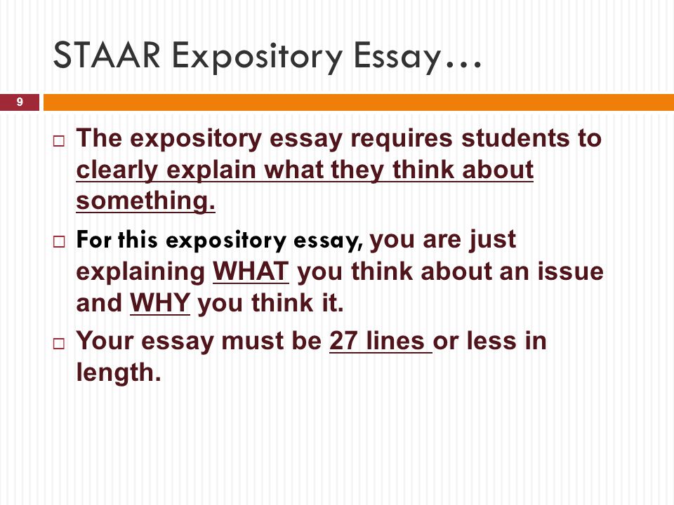 STAAR Expository Essay…