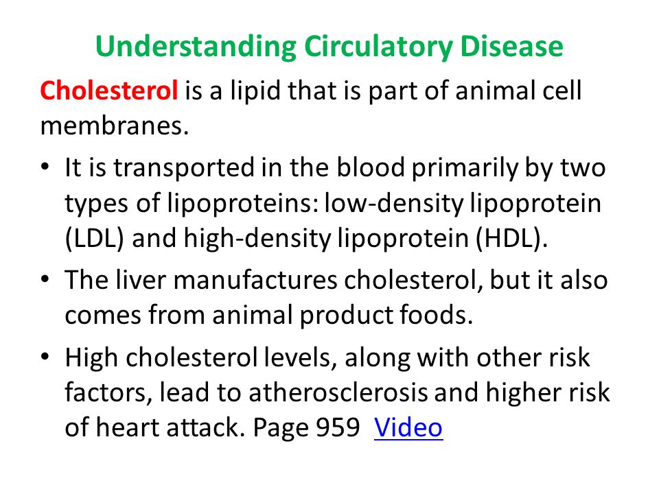 Understanding Circulatory Disease
