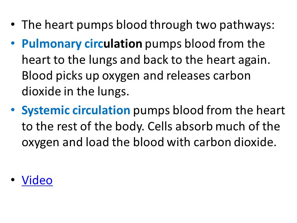 The heart pumps blood through two pathways: