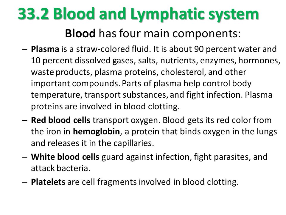 33.2 Blood and Lymphatic system