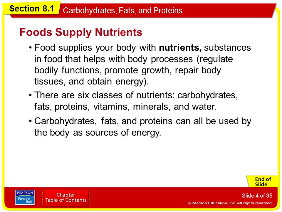 Foods Supply Nutrients