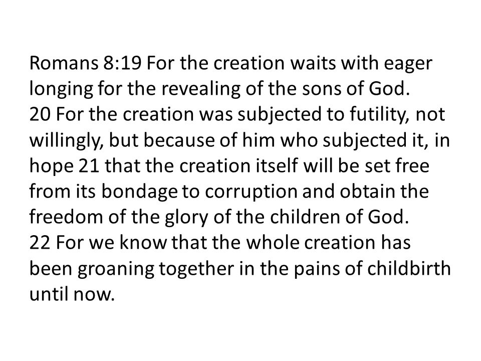 Romans 8:19 For the creation waits with eager longing for the revealing of the sons of God. 20 For the creation was subjected to futility, not willingly, but because of him who subjected it, in hope 21 that the creation itself will be set free from its bondage to corruption and obtain the freedom of the glory of the children of God. 22 For we know that the whole creation has been groaning together in the pains of childbirth until now.