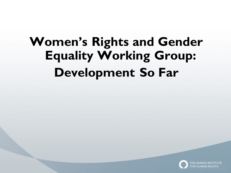 Women’s Rights and Gender Equality Working Group: