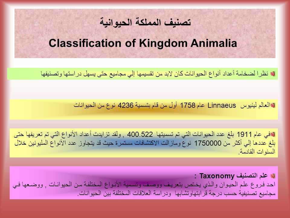 تصنيف المملكة الحيوانية Classification Of Kingdom Animalia Ppt Download