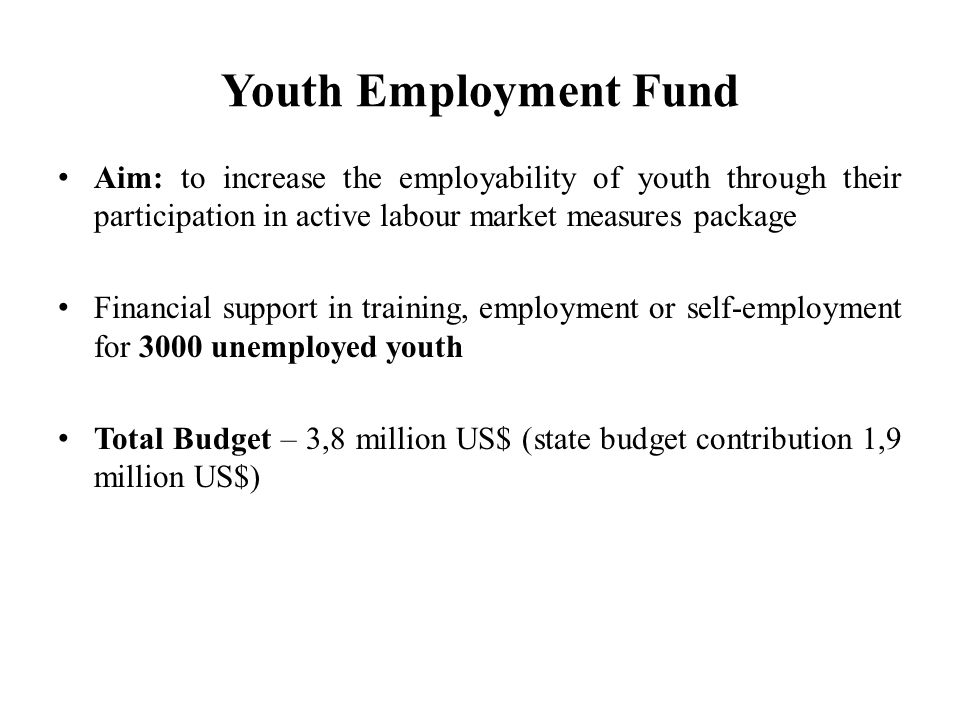 Youth Employment Fund Aim: to increase the employability of youth through their participation in active labour market measures package.