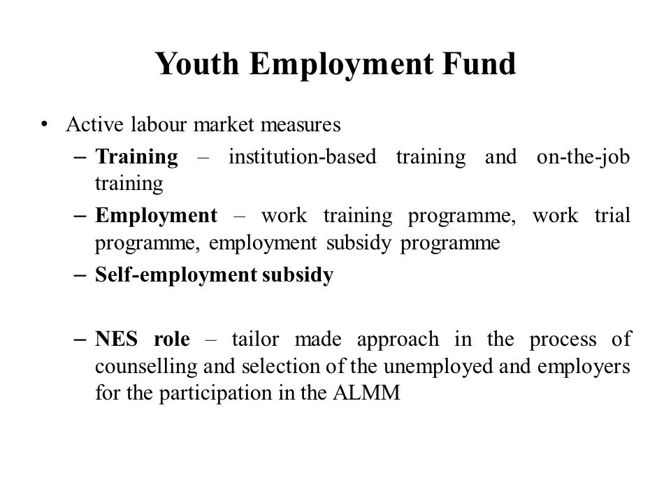 Youth Employment Fund Active labour market measures