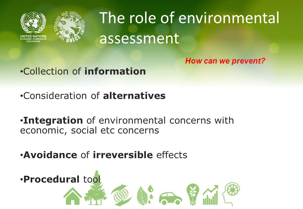 The role of environmental assessment