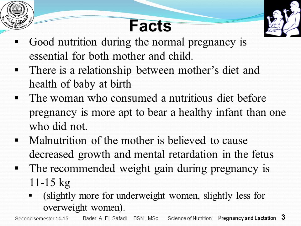 yyjdtd Facts. Good nutrition during the normal pregnancy is essential for both mother and child.