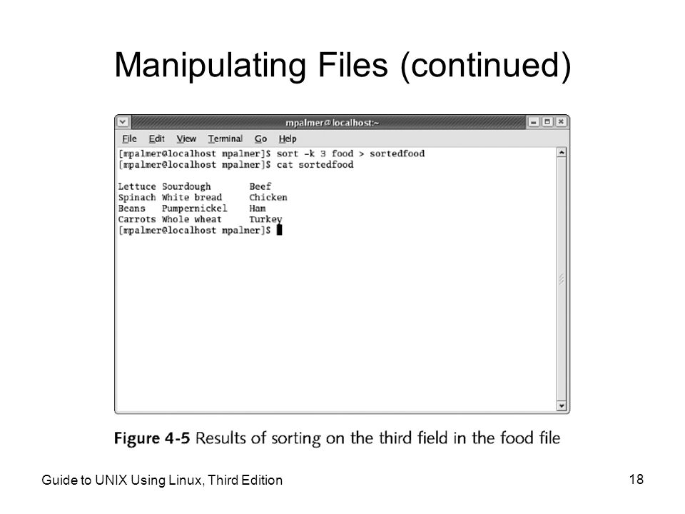 Manipulating Files (continued)