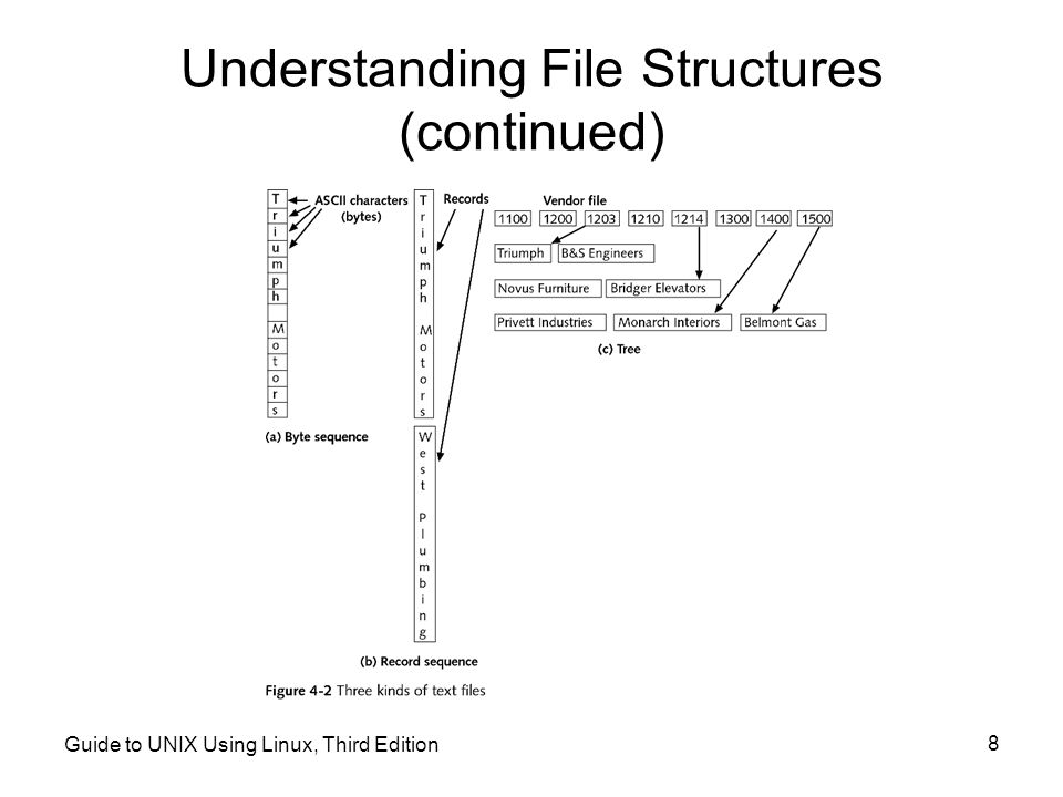 Understanding File Structures (continued)