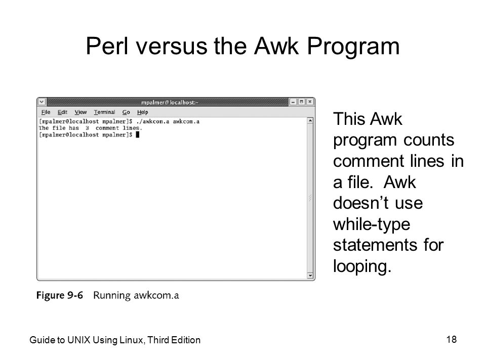 Perl versus the Awk Program