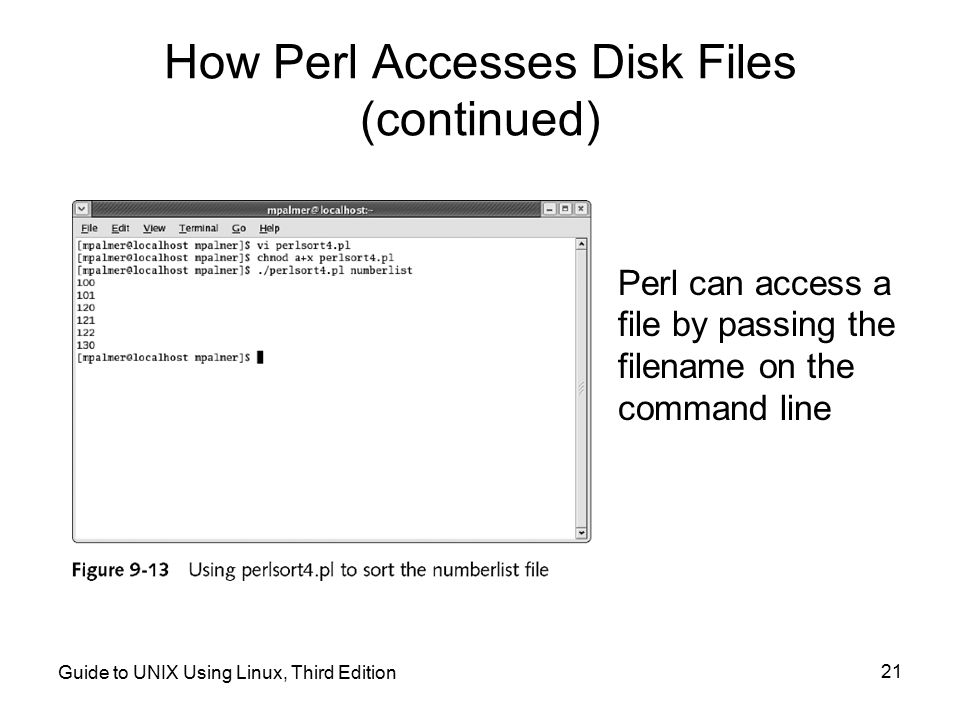 How Perl Accesses Disk Files (continued)