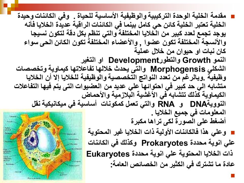 موسوعة فسيولوجيا النبات الجزء الاول مراحل النمو والتطور - ppt download