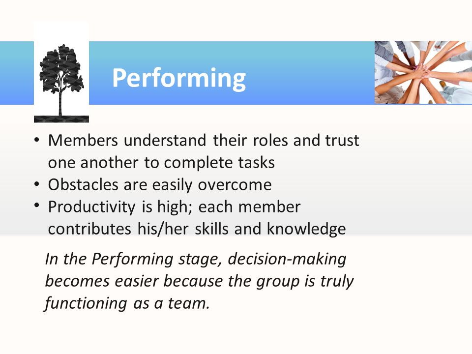 Performing Members understand their roles and trust one another to complete tasks. Obstacles are easily overcome.