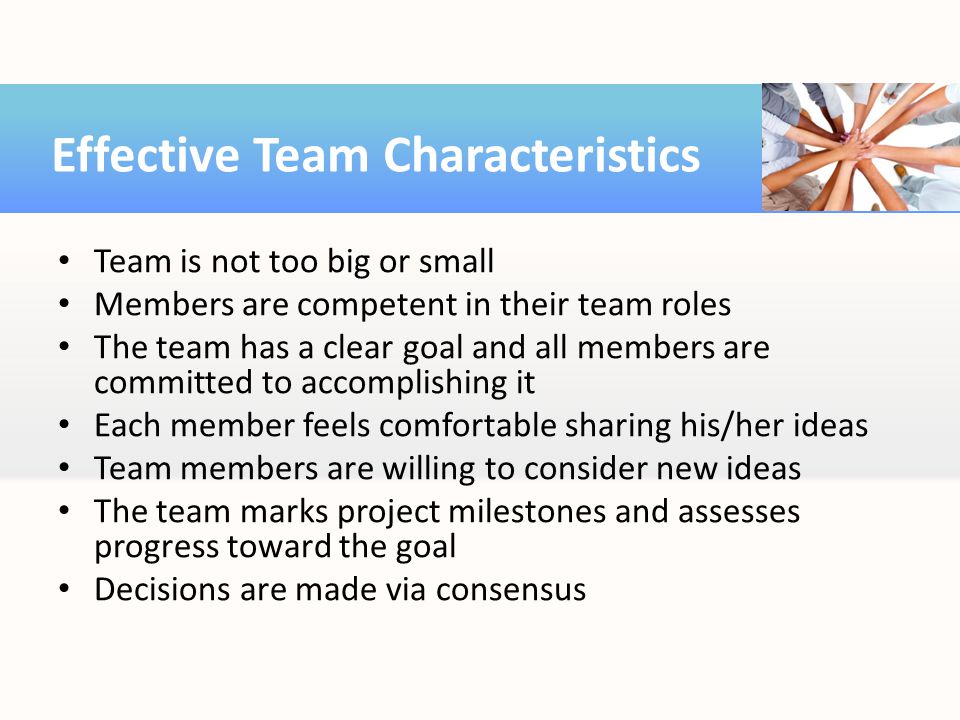 Effective Team Characteristics