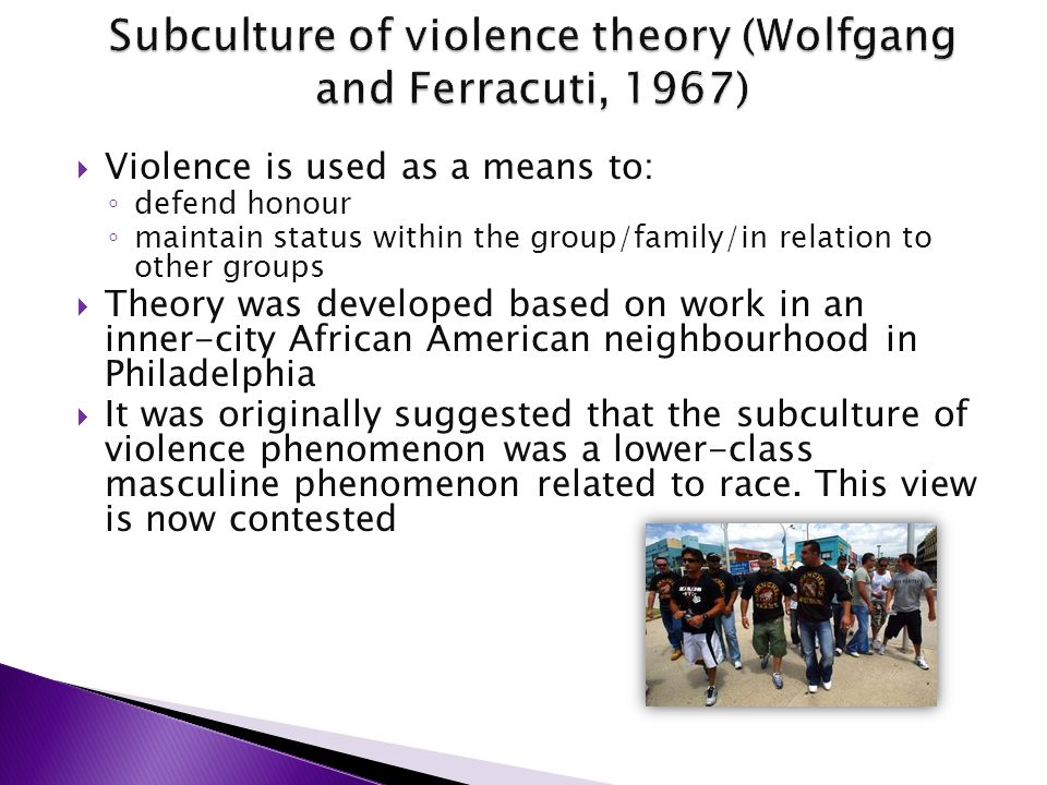 subculture of violence theory
