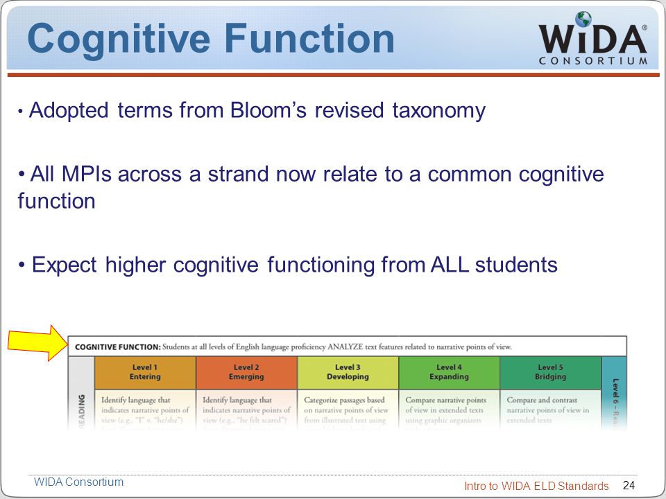 Cognitive Function Adopted terms from Bloom’s revised taxonomy. All MPIs across a strand now relate to a common cognitive function.
