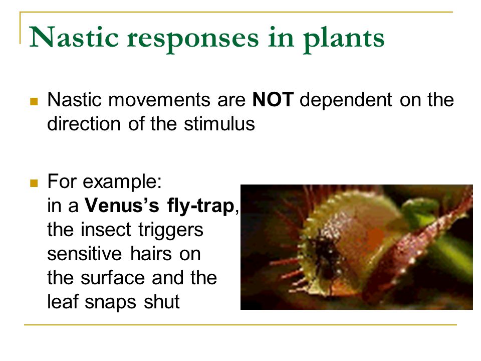 Nastic responses in plants