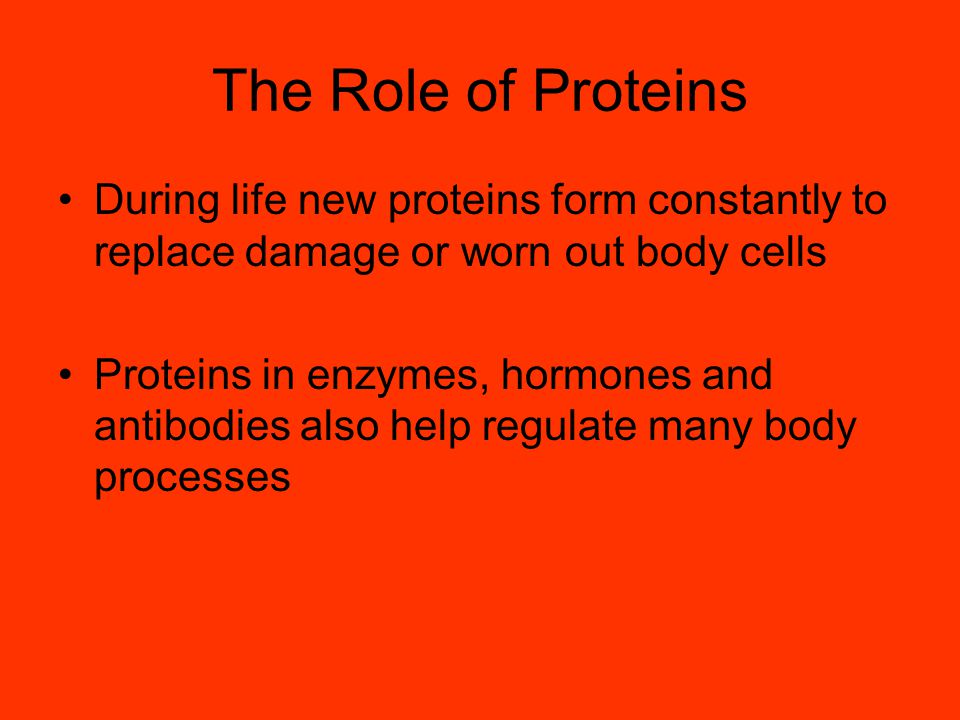 The Role of Proteins During life new proteins form constantly to replace damage or worn out body cells.