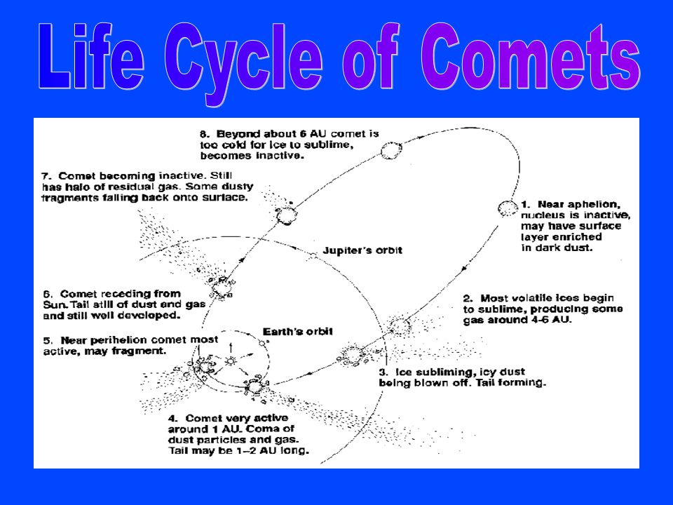By: Ciara Harrison, Julia Romero & Greg Moore. - ppt video online download