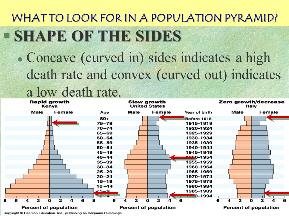Population Pyramids Ppt Video Online Download Population Pyramids Ppt Video Online Download