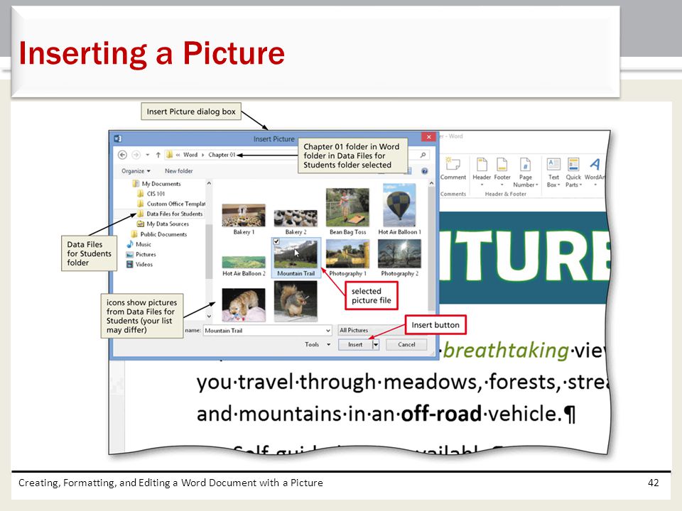 Inserting a Picture Creating, Formatting, and Editing a Word Document with a Picture