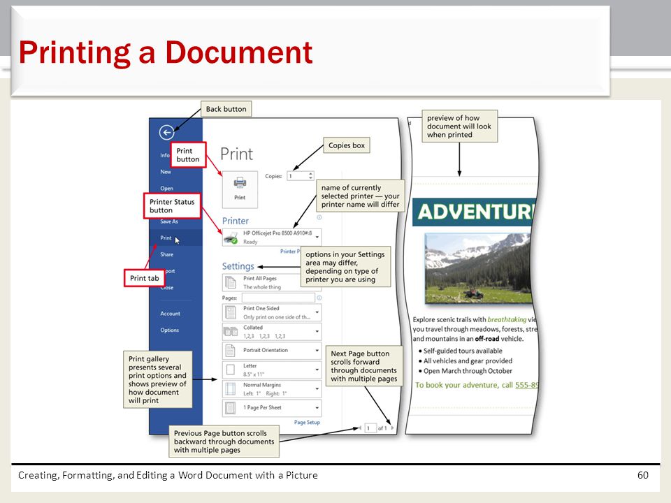 Printing a Document Creating, Formatting, and Editing a Word Document with a Picture