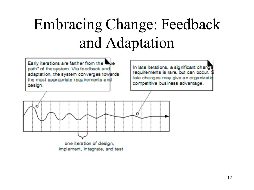 Embracing Change: Feedback and Adaptation