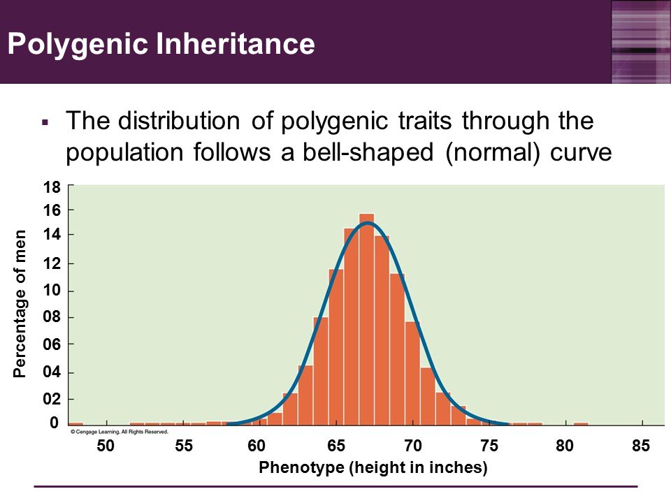 The Inheritance of Complex Traits - ppt video online download