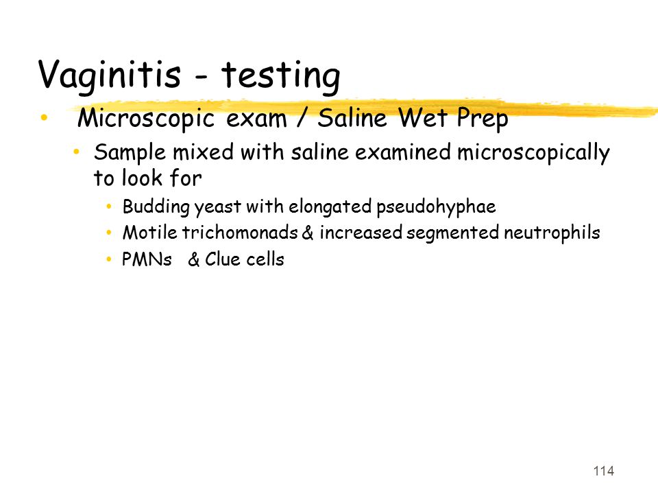 Vaginitis - testing Microscopic exam / Saline Wet Prep