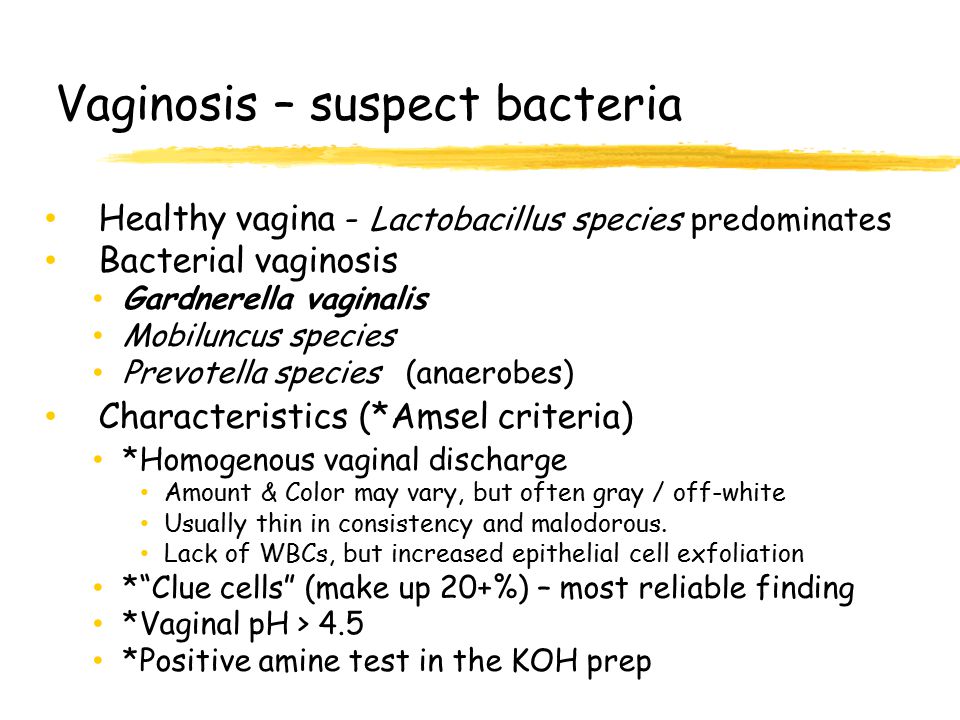 Vaginosis – suspect bacteria