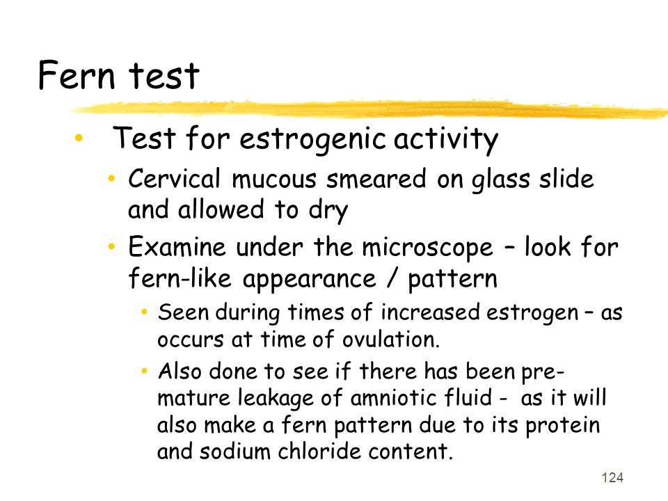 Fern test Test for estrogenic activity