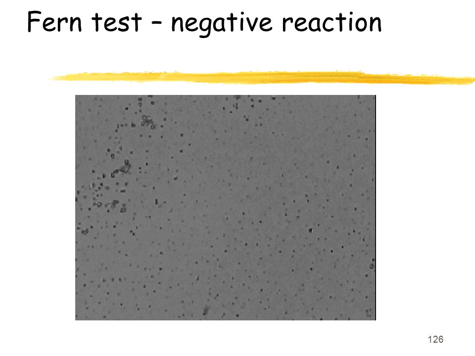 Fern test – negative reaction