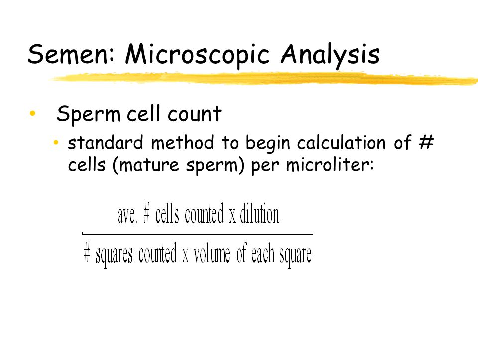 Semen: Microscopic Analysis