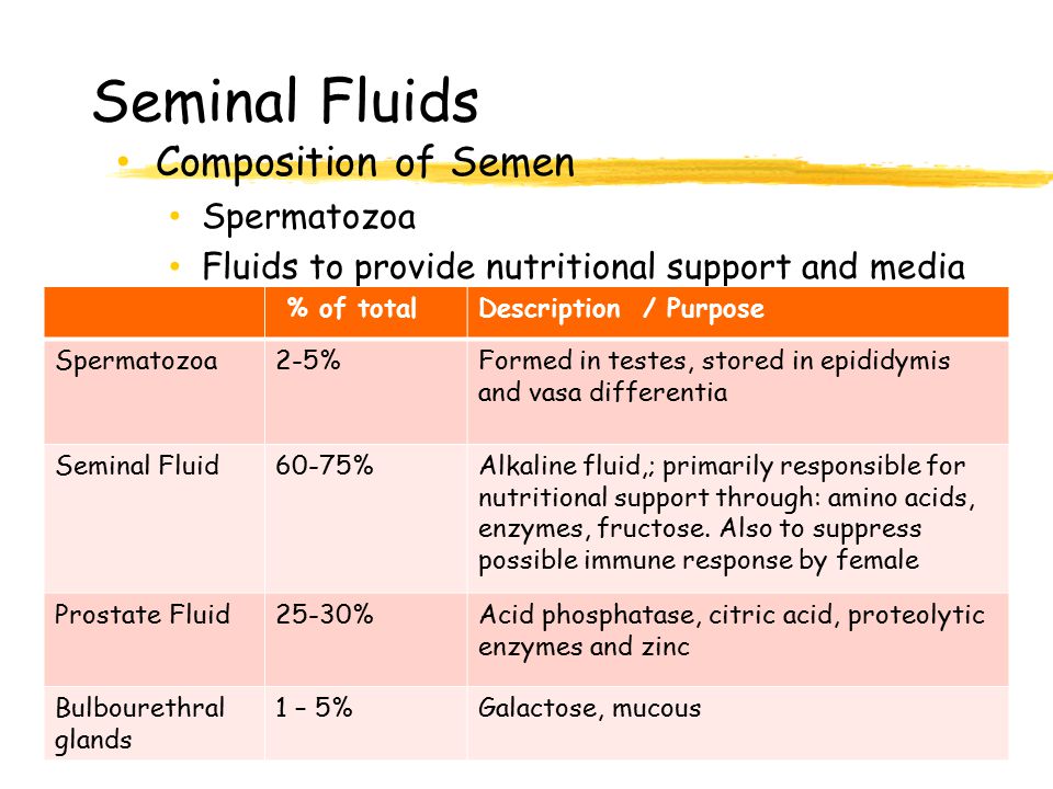 Seminal Fluids Composition of Semen Spermatozoa