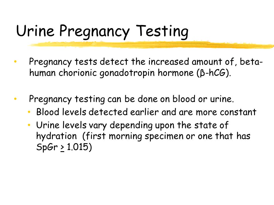 Urine Pregnancy Testing