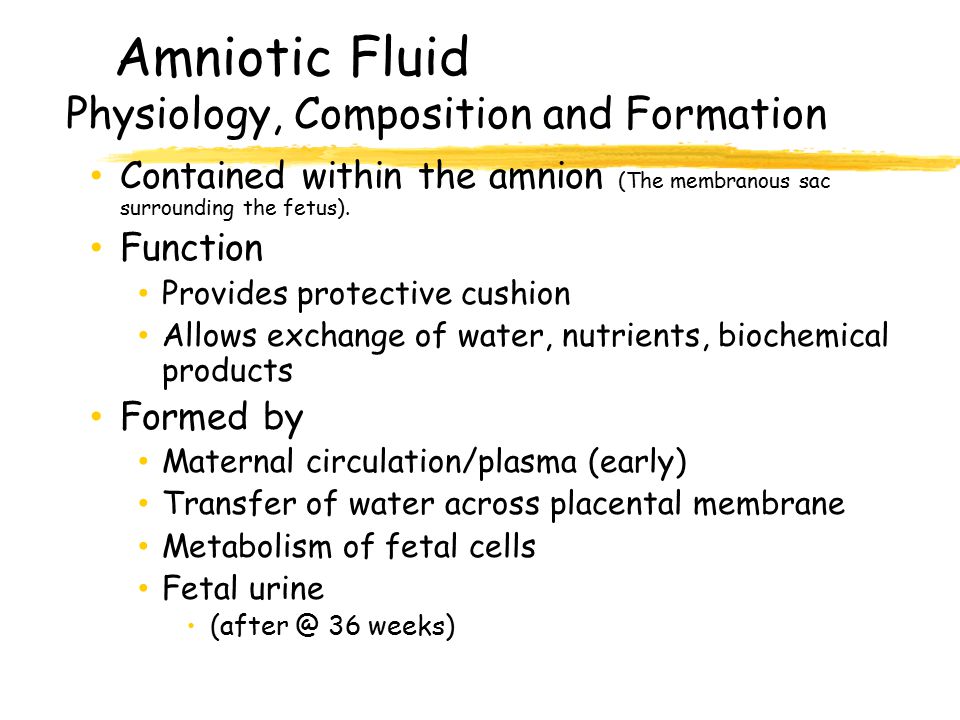 Amniotic Fluid Physiology, Composition and Formation