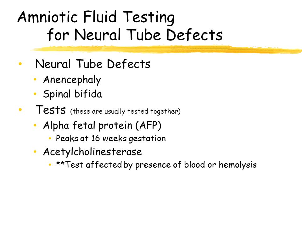 Amniotic Fluid Testing for Neural Tube Defects