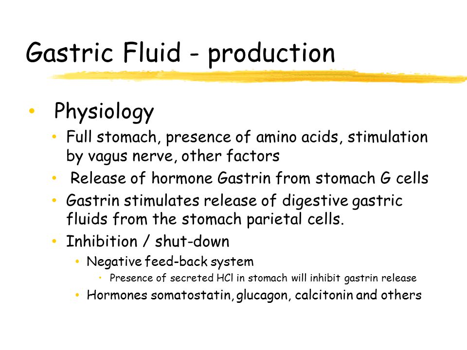 Gastric Fluid - production