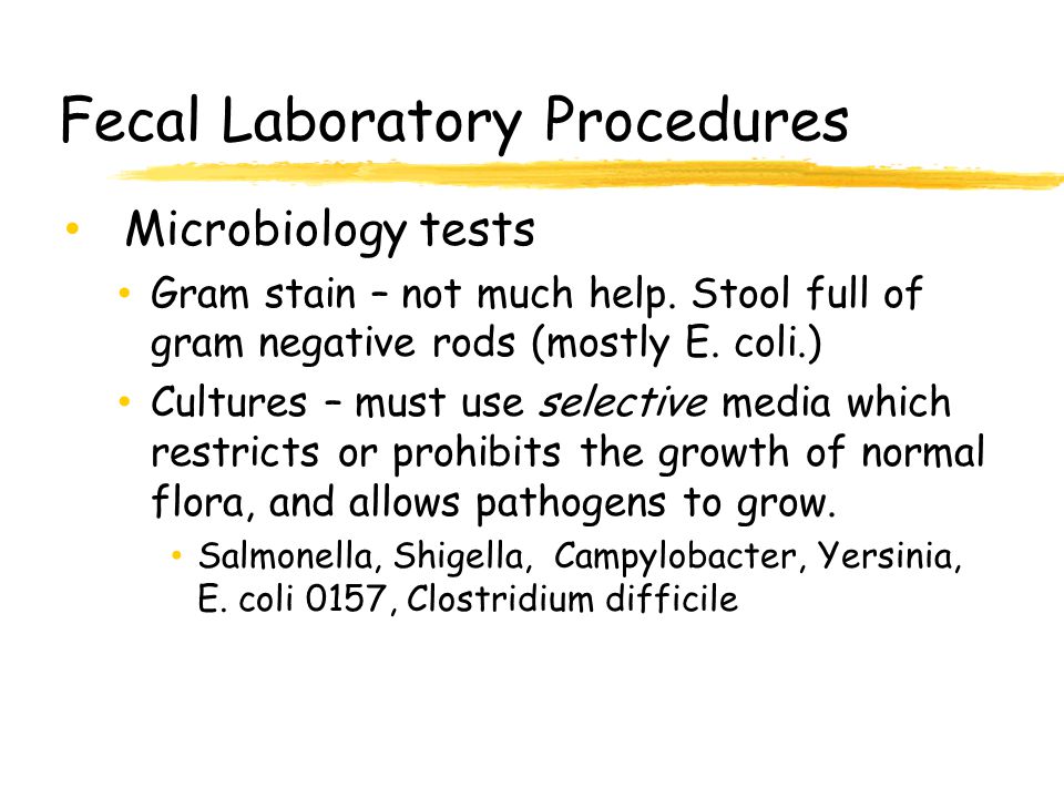 Fecal Laboratory Procedures