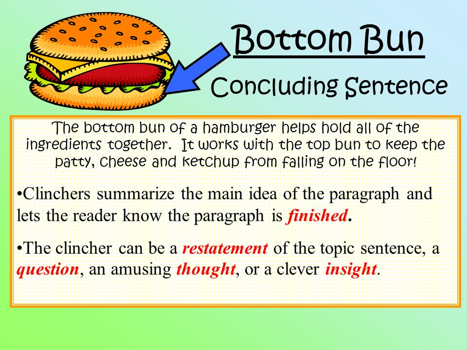 Bottom Bun Concluding Sentence
