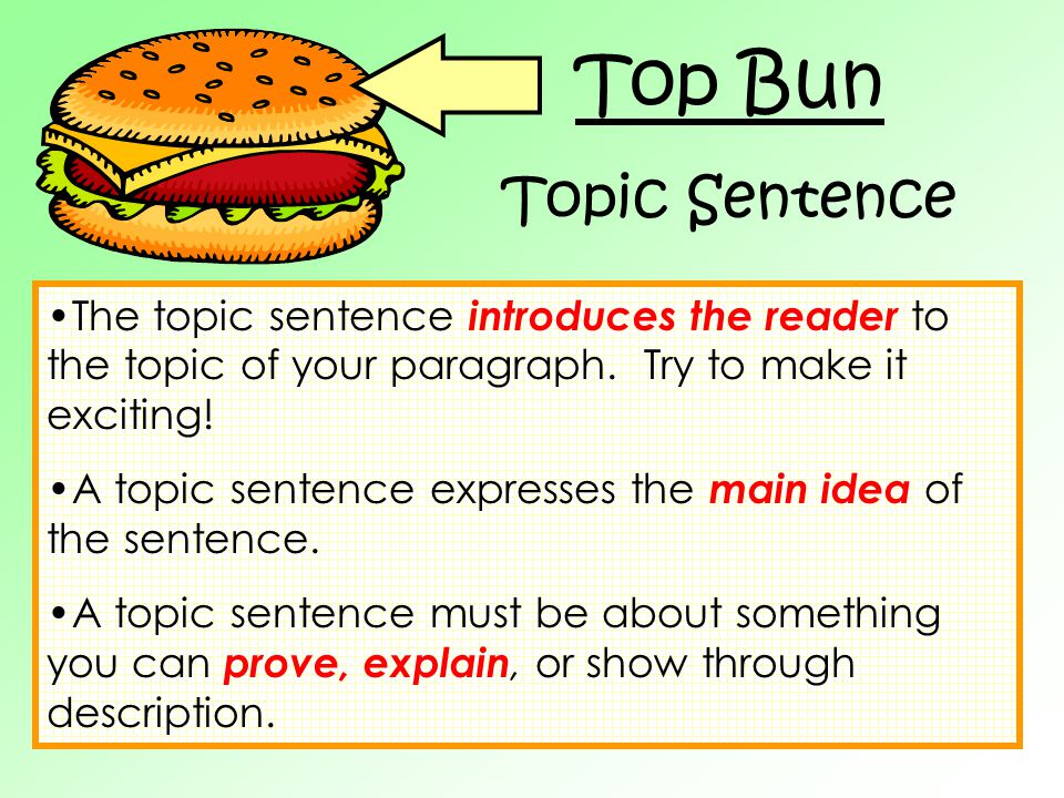 Top Bun Topic Sentence. The topic sentence introduces the reader to the topic of your paragraph. Try to make it exciting!