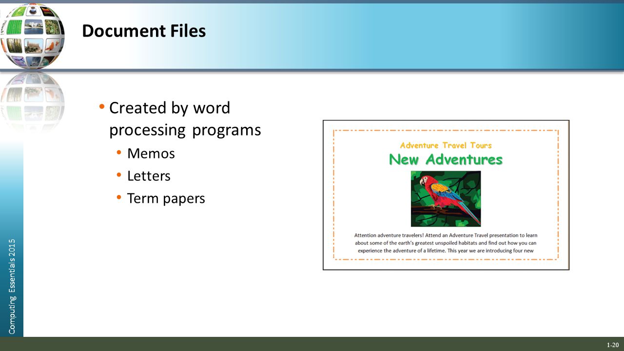 Document Files Created by word processing programs Memos Letters