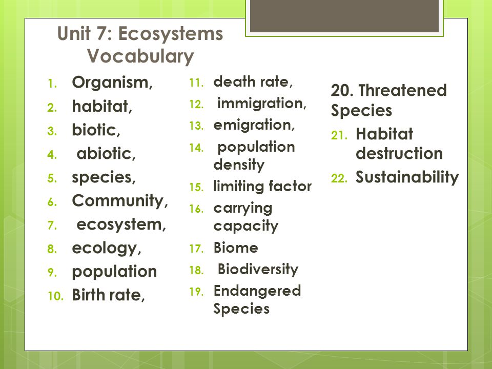 Ecology vocabulary. Лексика ecological problems. Ecology Vocabulary list. Ecological problems Vocabulary.